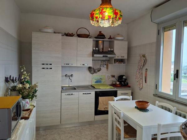 Villa a schiera in Via dei Tigli, Collazzone — foto 4 di 5