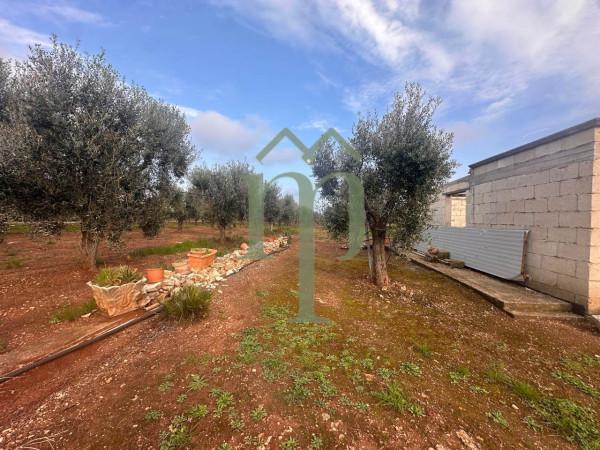 Casale, Carovigno — foto 4 di 5