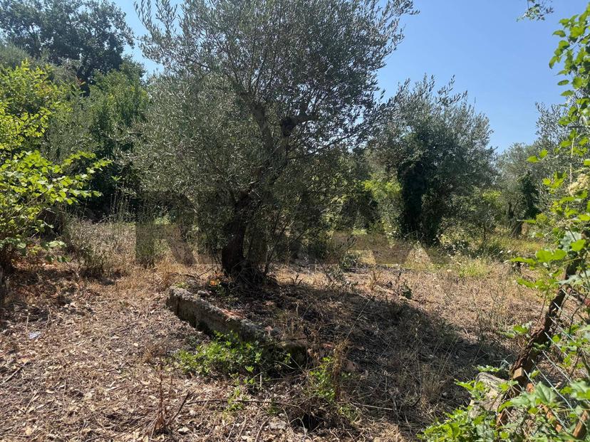 Rustico, Formia — foto 3 di 5
