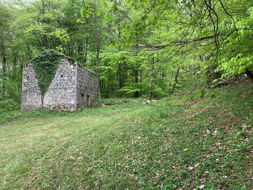 Rustico, Clauzetto — foto 2 di 5
