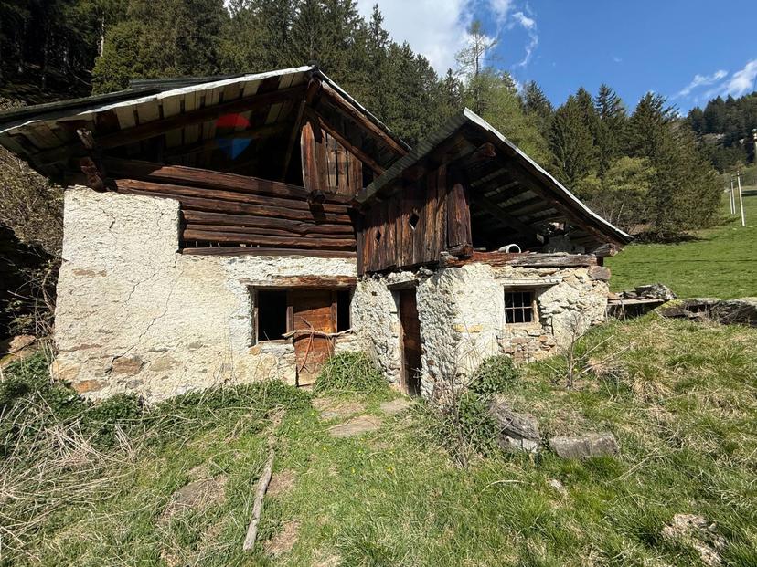 Rustico, Peio — foto 4 di 5