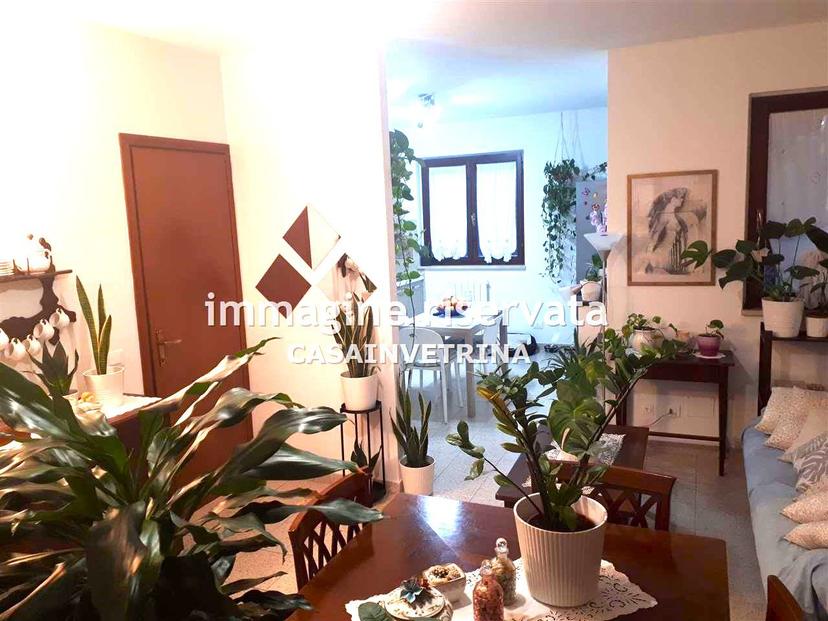 Casa indipendente in Via dell'Airone , Grosseto — foto 2 di 5