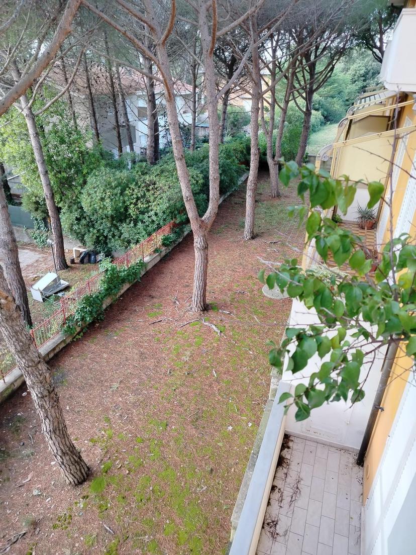 Trilocale, Rosignano Marittimo — foto 2 di 5