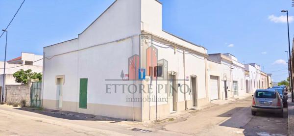 Villa in Via Dalmazio Birago, Alliste — foto 2 di 5