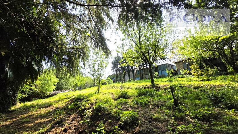 Rustico, Teolo — foto 4 di 5