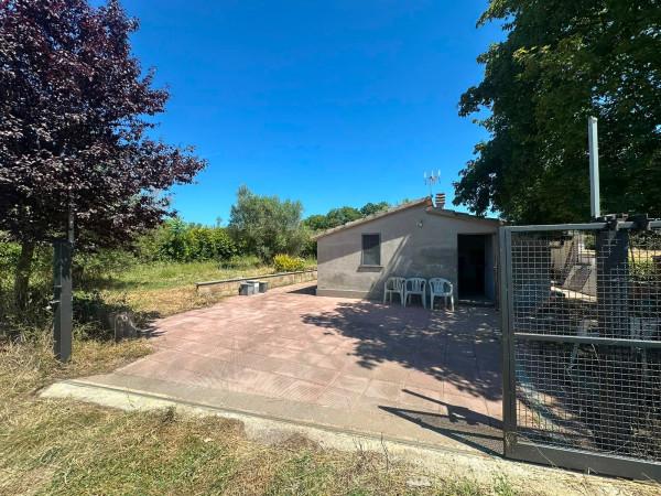 Casale in Strada Campo delle Rose, Viterbo — foto 4 di 5