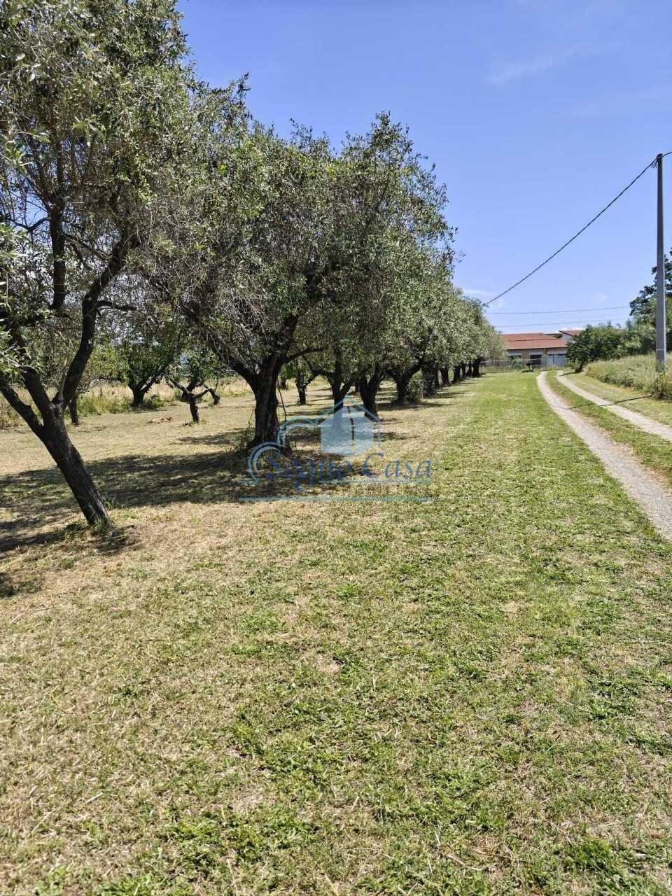 Villa, Sarzana