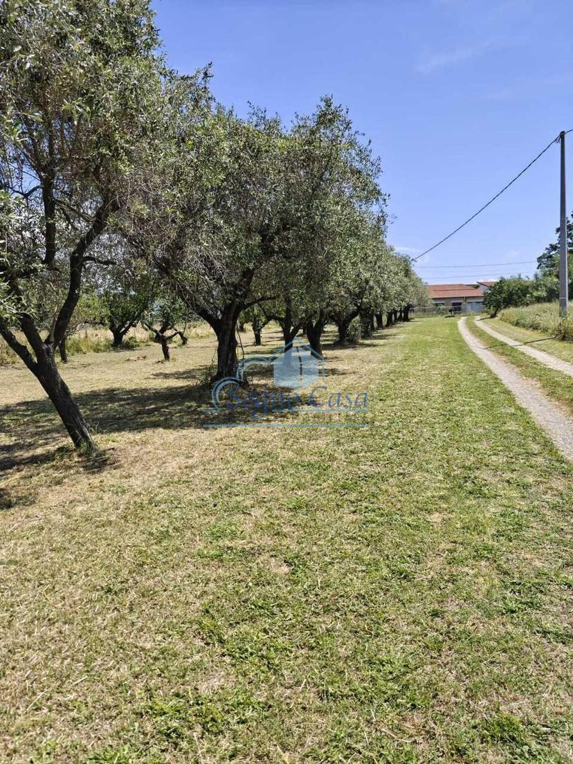 Villa, Sarzana