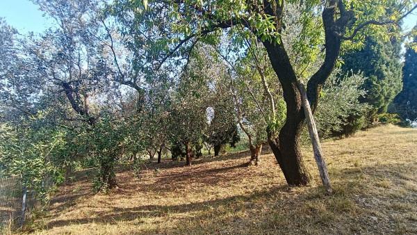 Terratetto plurifamiliare in Via Mandolare, Villaga — foto 3 di 5