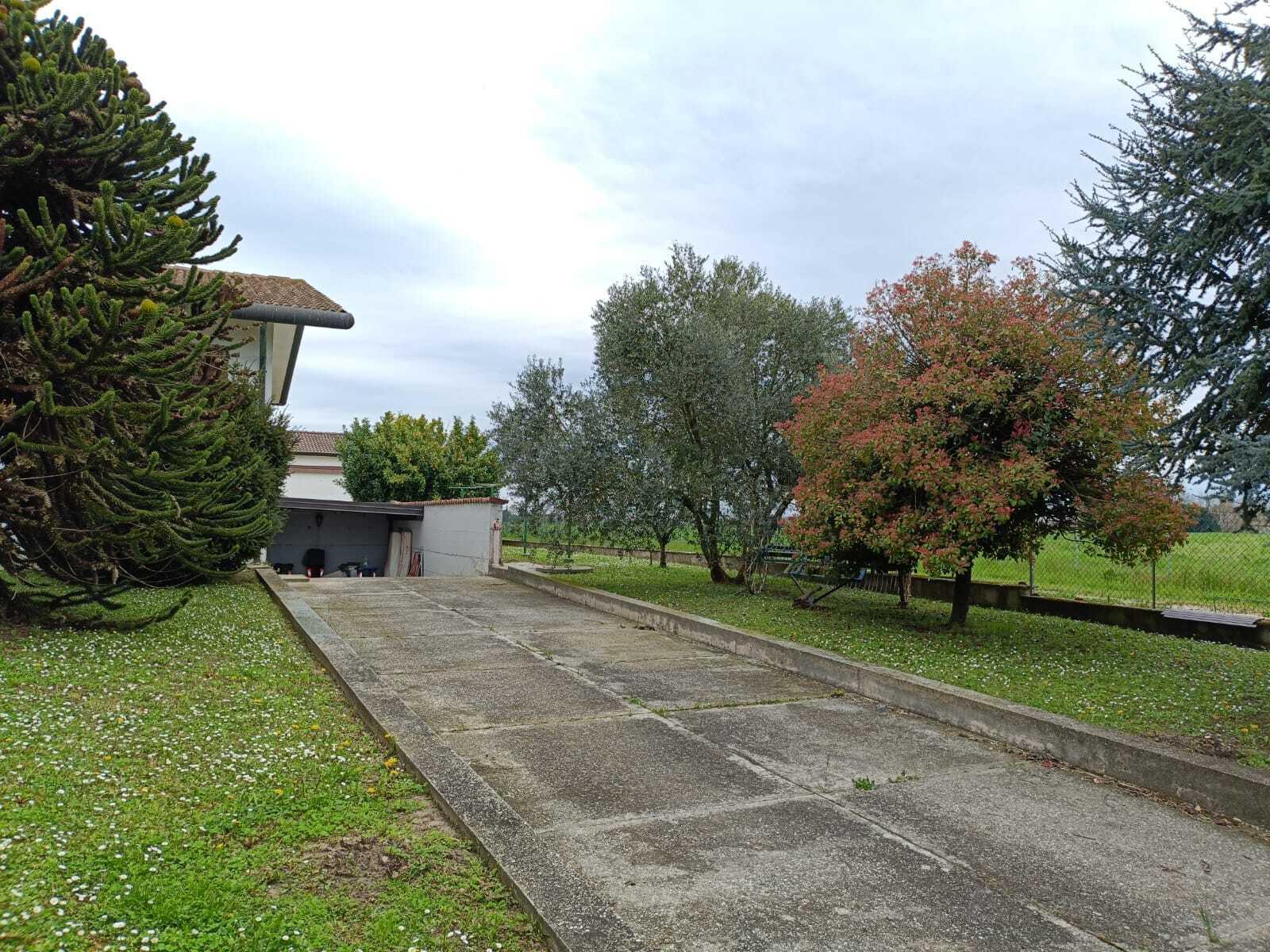 Casa indipendente, Villanova Marchesana
