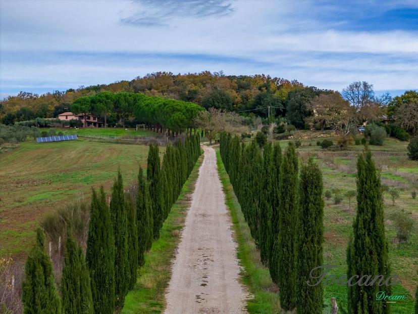 Rustico, Massa Marittima — foto 2 di 5