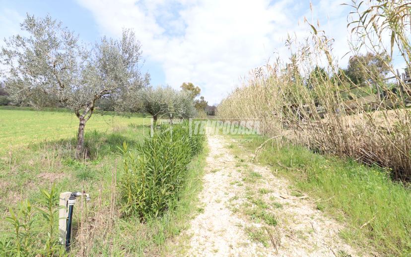 Casa colonica in Contrada Marezi 29, Massignano — foto 3 di 5