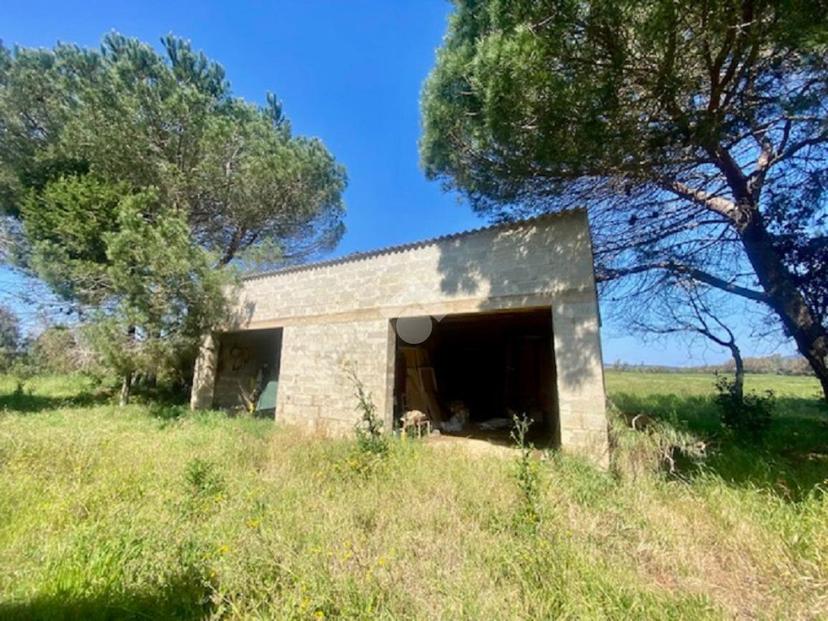 Casa indipendente, Alghero — foto 4 di 5