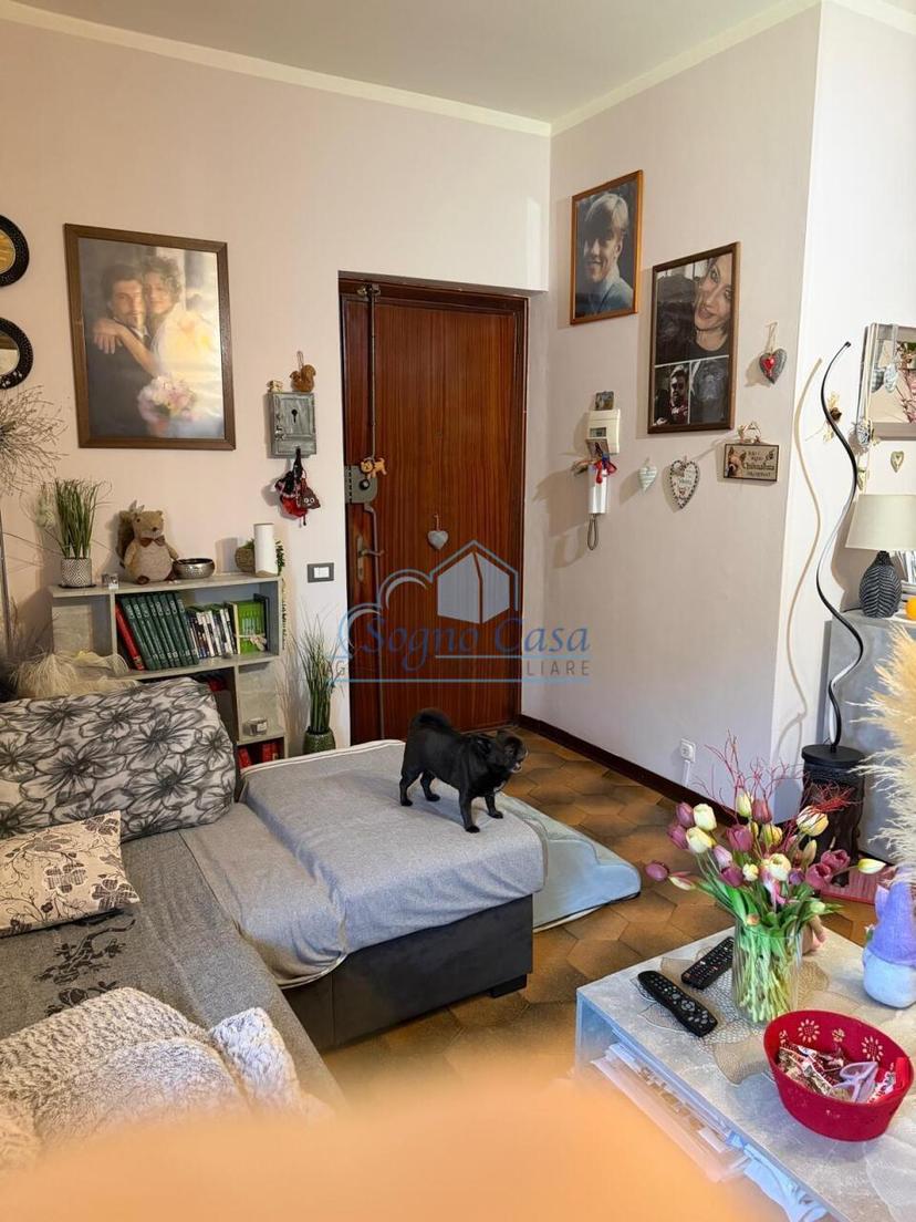 Quadrilocale, Castelnuovo Magra — foto 2 di 5