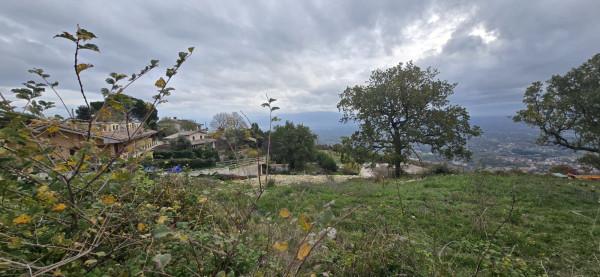 Villa in Via Giovanni XXIII, Palestrina — foto 5 di 5