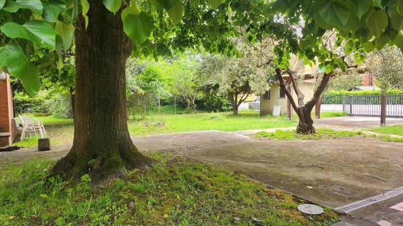 Casa indipendente in Ia Bologna 1, Calcinaia — foto 3 di 5
