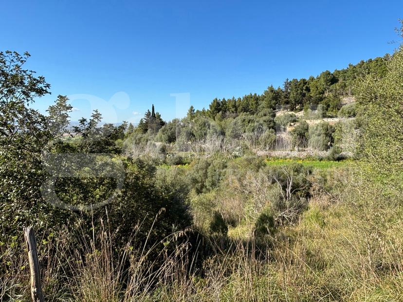 Rustico in Contrada Petraro Snc, Chiaramonte Gulfi — foto 2 di 5