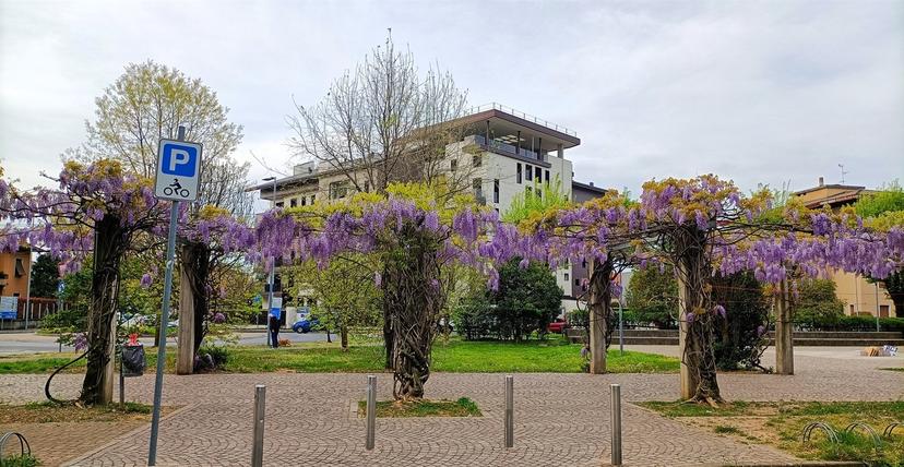 Attico in Via Antonio Stoppani 53, Seregno — foto 4 di 5