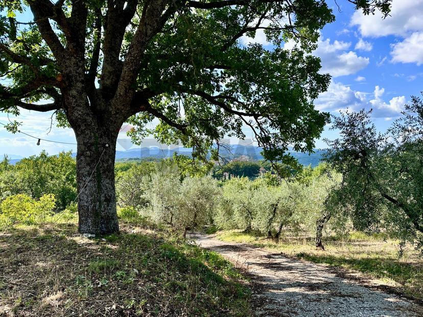 Villa, Torricella in Sabina — foto 3 di 5