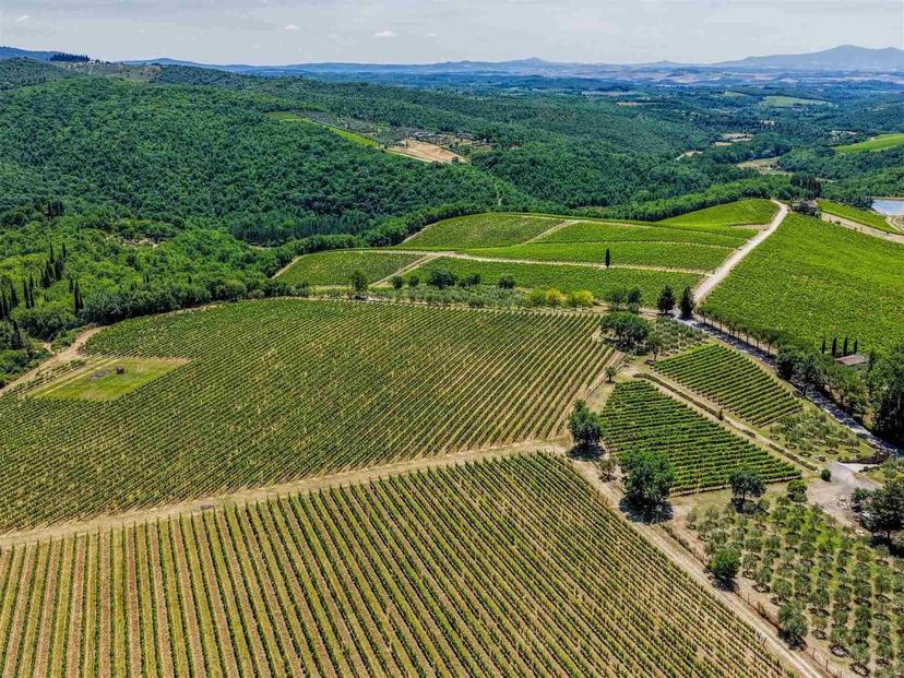 Casa indipendente, Gaiole in Chianti — foto 3 di 5