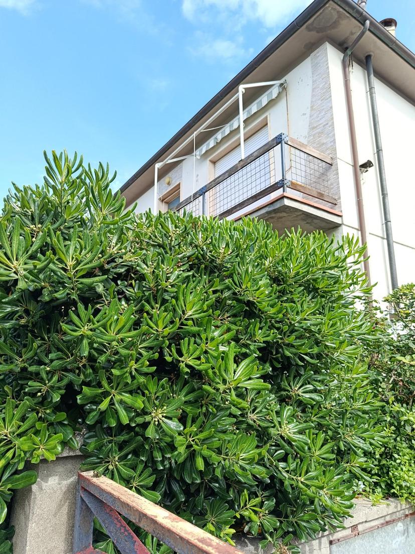 Villa trifamiliare, Rosignano Marittimo — foto 2 di 5