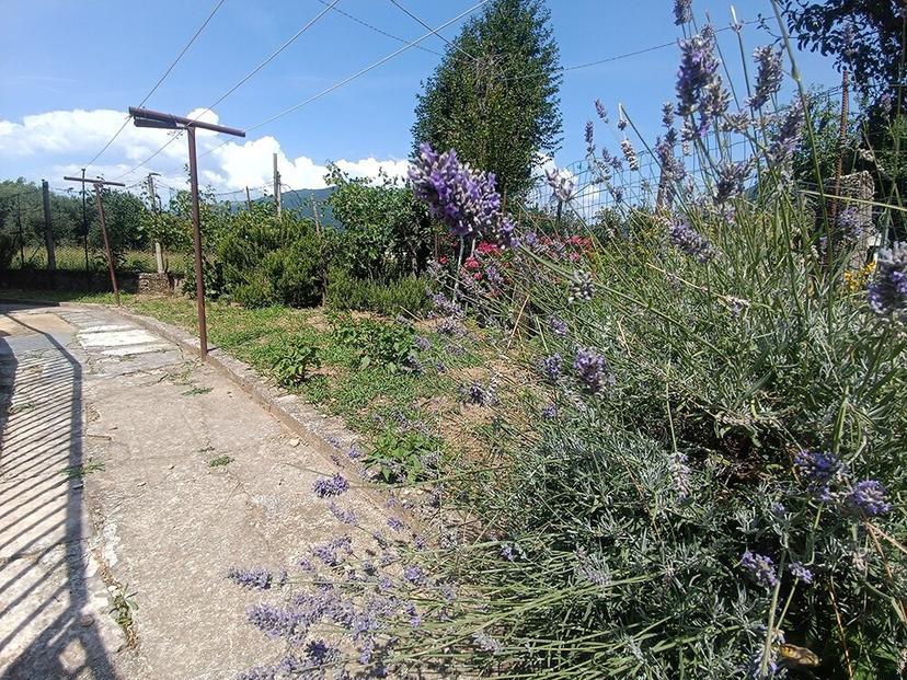 Villa a schiera, Romano d'Ezzelino — foto 2 di 5
