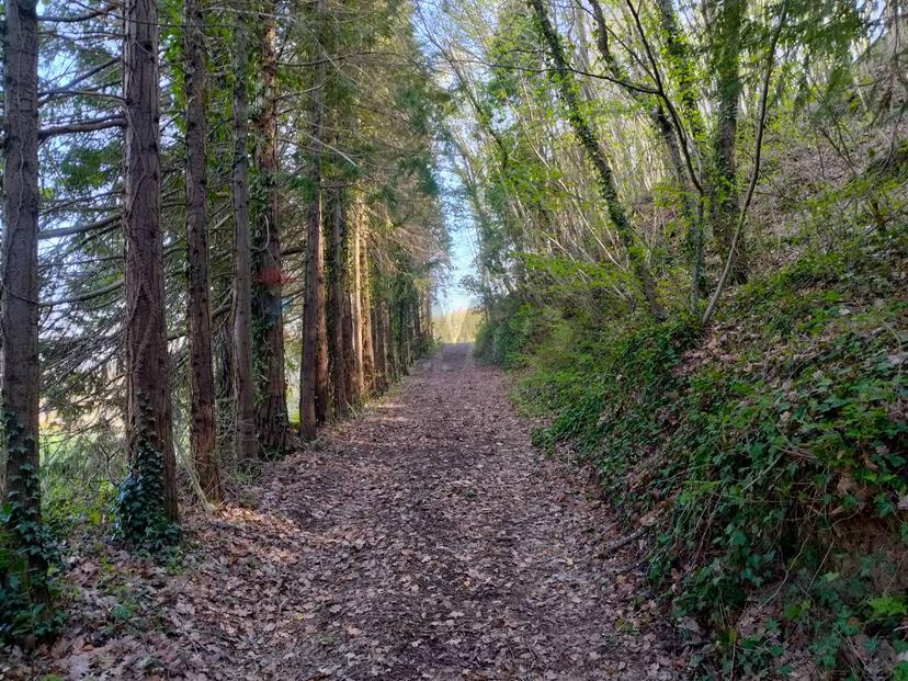 Rustico in Loc. Boarella Snc, Gubbio — foto 5 di 5