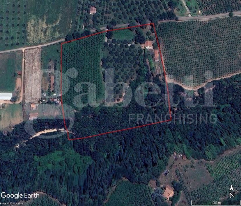 Villa in Strada Vicinale Corteccoli  Snc, Gallese — foto 4 di 5