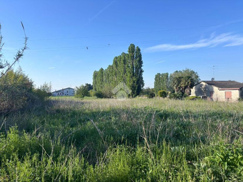 Villa in Via Argine Regio 1540, San Martino di Venezze — foto 3 di 5