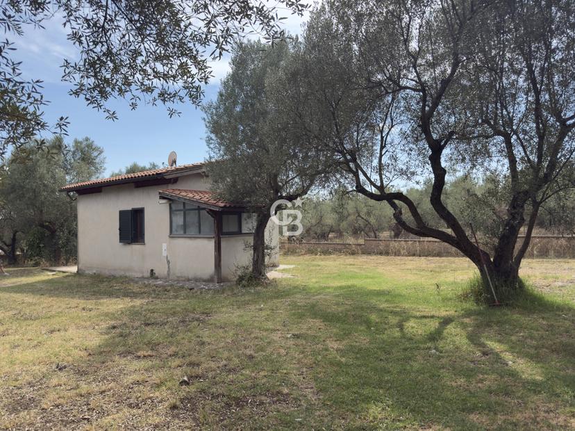 Casa indipendente in Località Pian di San Martino Snc, Vetralla — foto 5 di 5