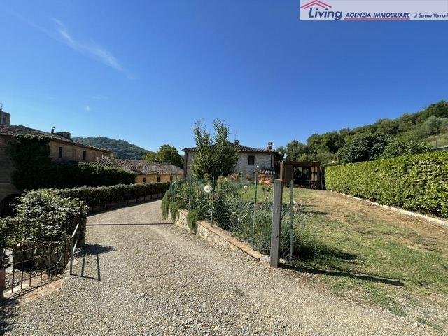 Villa a schiera, Sovicille — foto 2 di 5