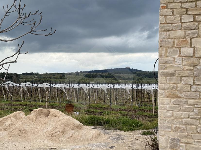 Villa in Via Castel del Monte, Andria — foto 4 di 5