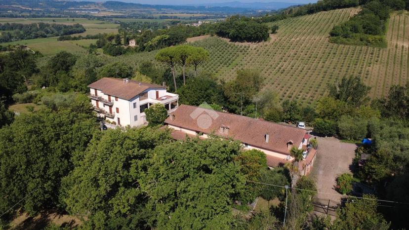 Villa in Via Sabina Nord 15, Forano — foto 3 di 5