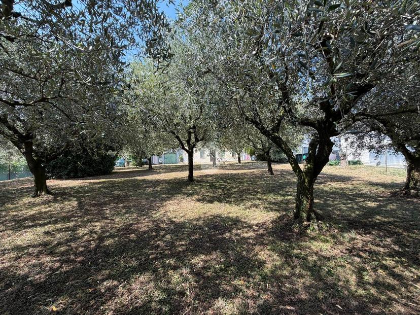 Casa indipendente in Via Creazzo 6, Pianezze — foto 3 di 5