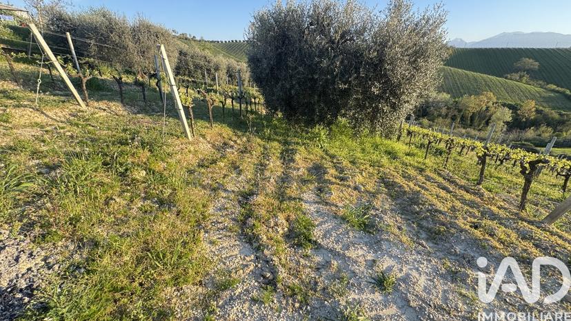 Villa in Strada Via Sibilla, Acquaviva Picena — foto 3 di 5