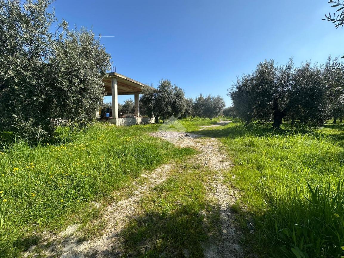 Rustico in C/da Bruscata Grande, Cassano all'Ionio