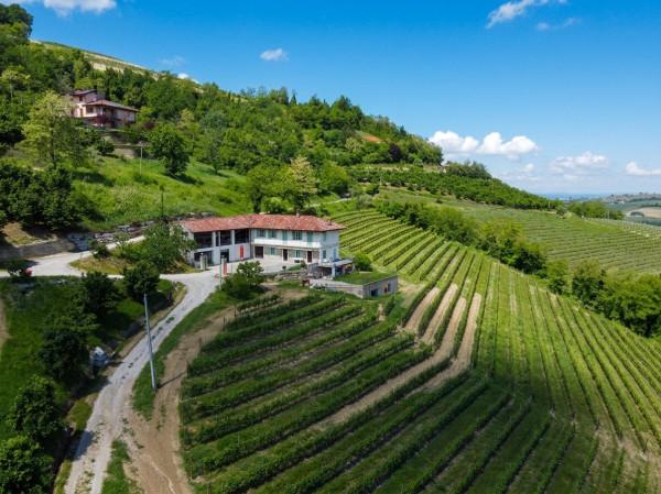 Cascina, Diano d'Alba — foto 4 di 5