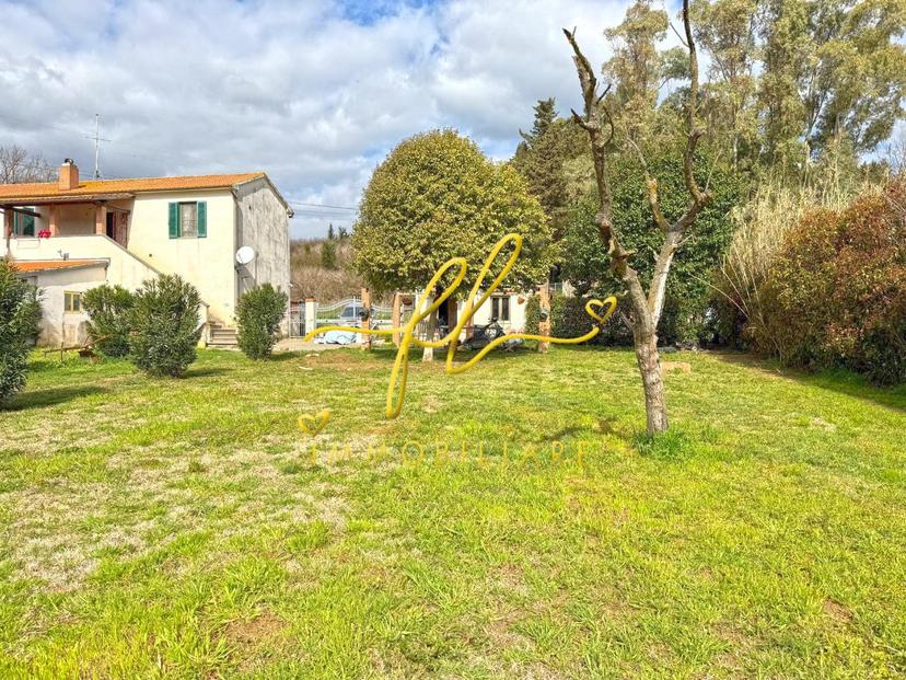 Porzione di casa, Castellina Marittima — foto 4 di 5