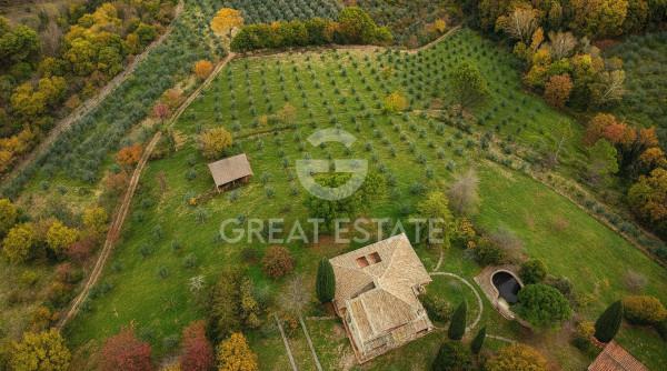 Villa in Vocabolo Cicaleto, Cannara — foto 5 di 5