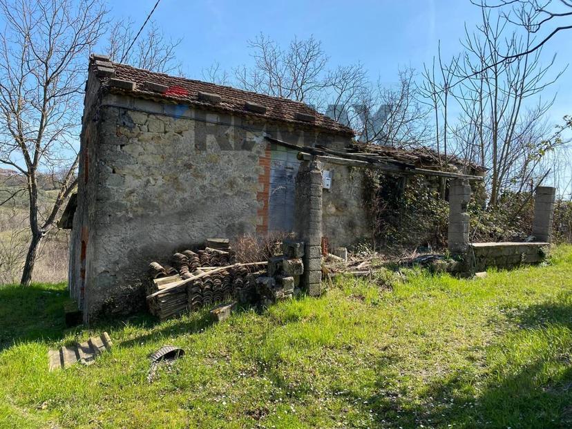 Rustico, Strangolagalli — foto 5 di 5