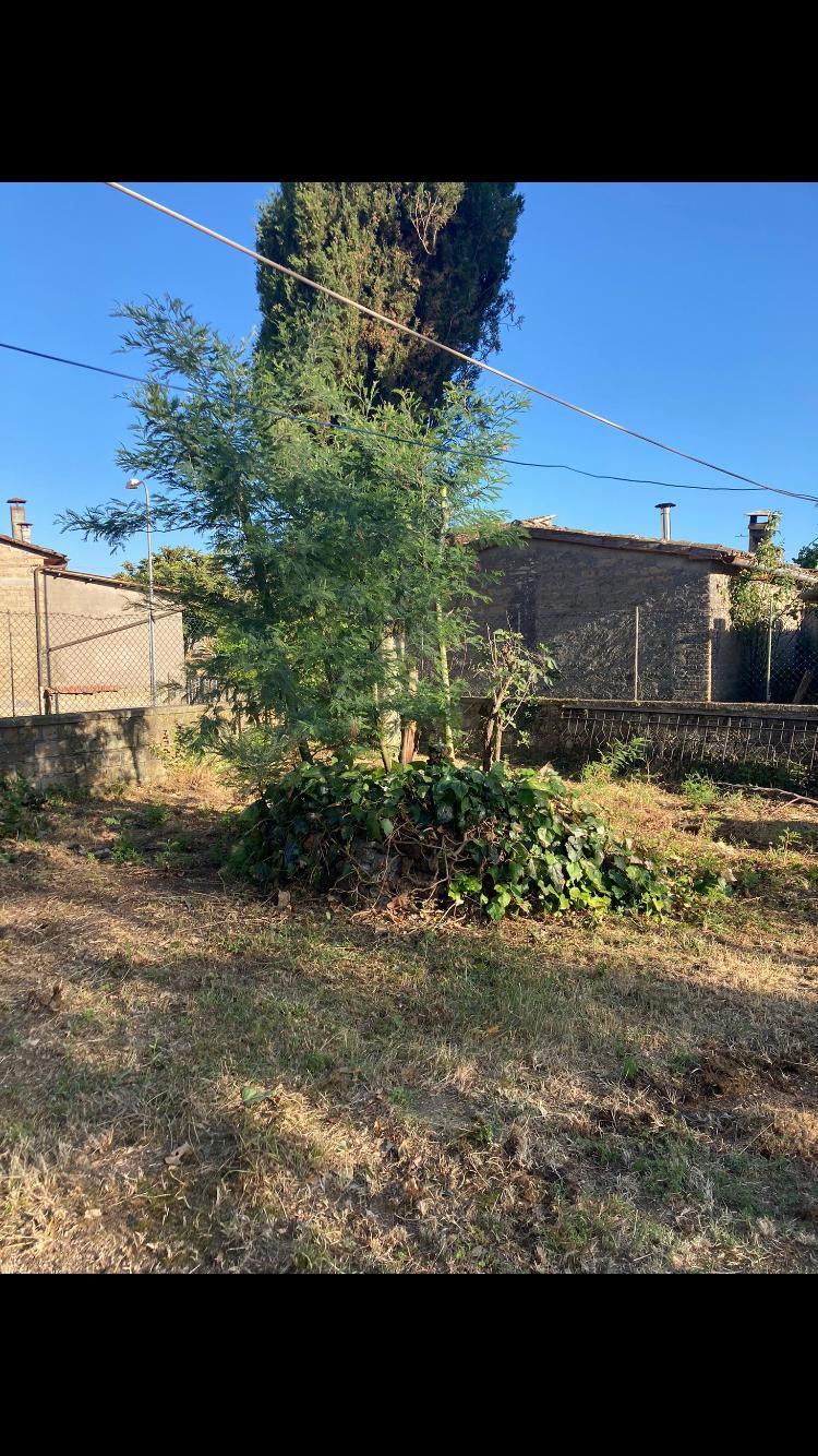 Appartamento in Via Capannelle 39, Castel Giorgio — foto 5 di 5