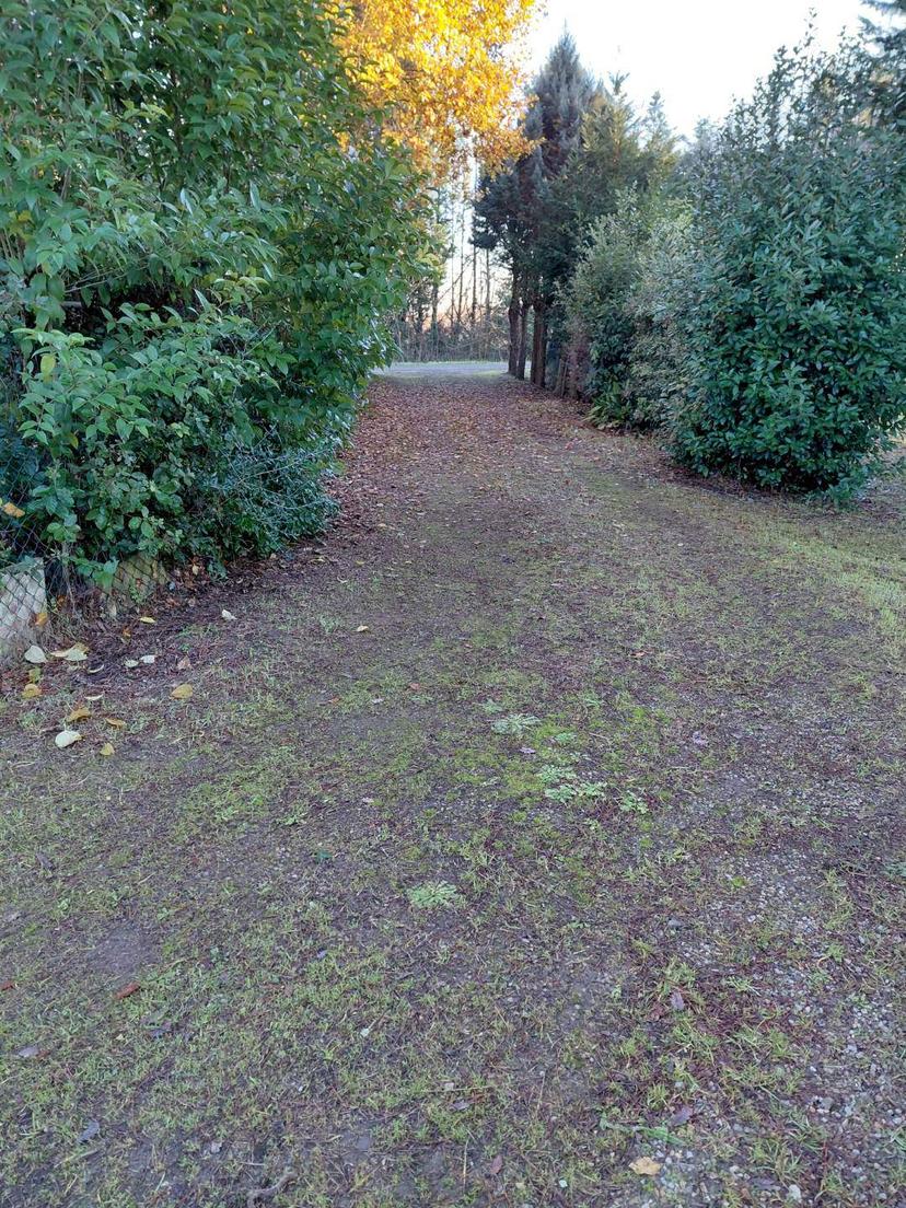 Casa indipendente, Castiglion Fiorentino — foto 2 di 5