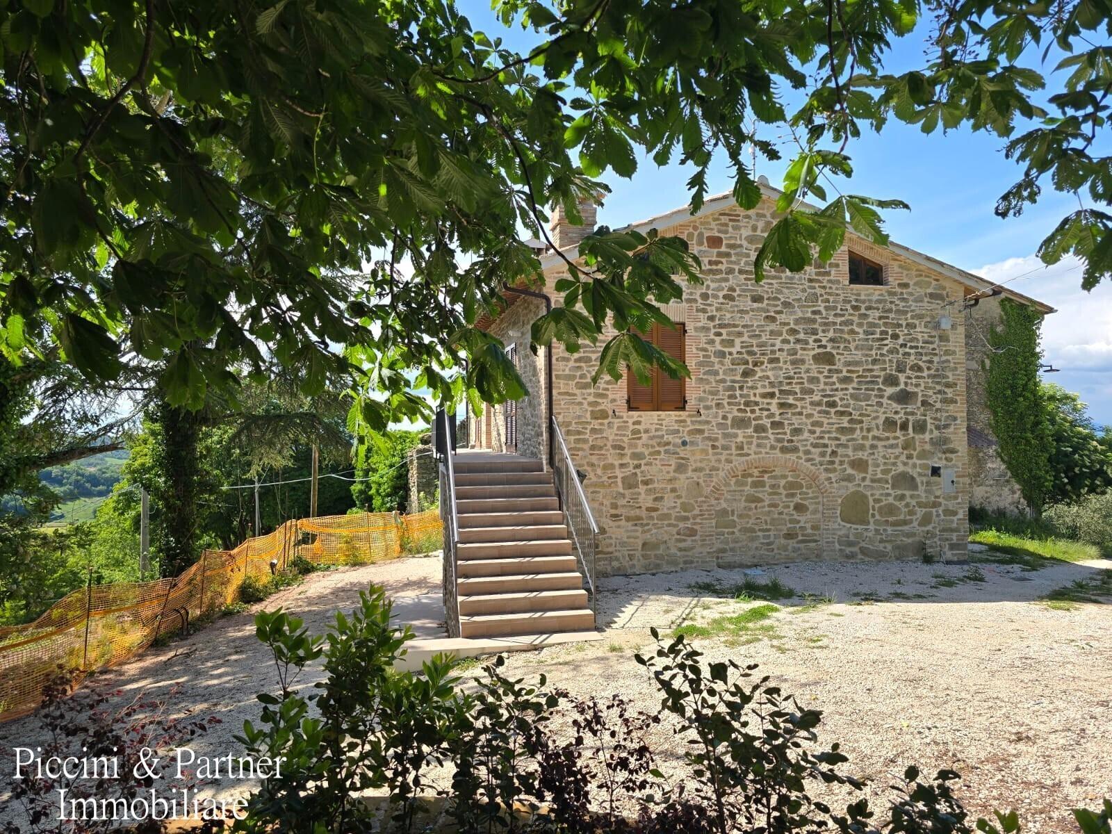 Rustico, Assisi