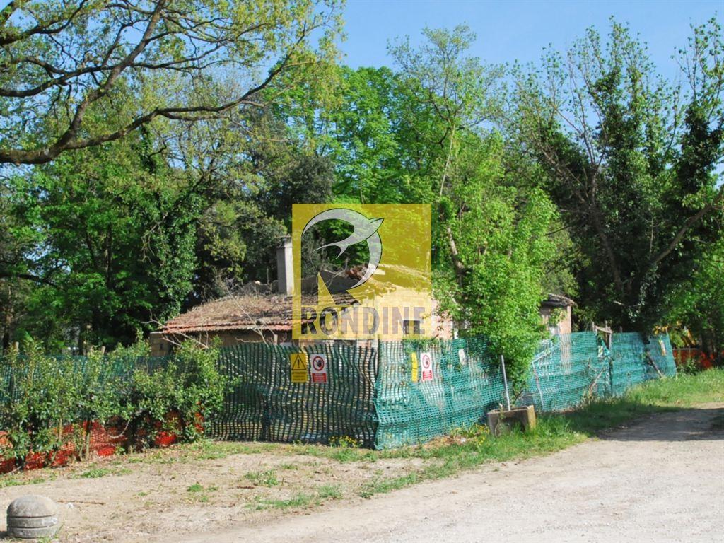 Rustico, Faenza