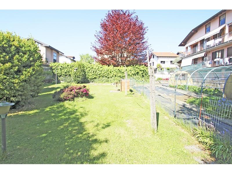 Trilocale, Vedano Olona
