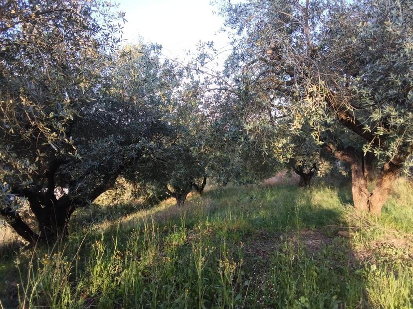 Rustico in Via dei Caolini 334, Marcellina — foto 2 di 5