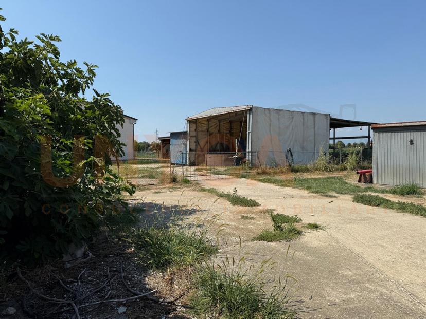 Rustico in Via Pelosa, Mestrino — foto 4 di 5