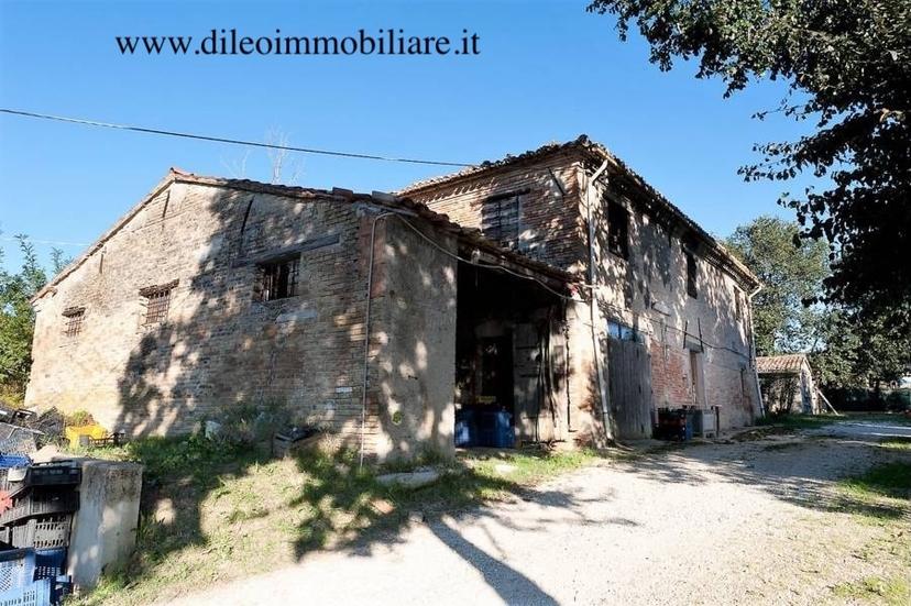 Rustico, Pesaro — foto 2 di 5