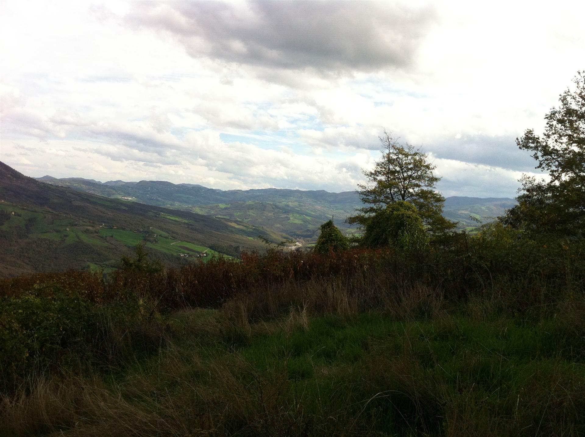 Casale, Montecreto