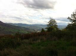 Casale, Montecreto